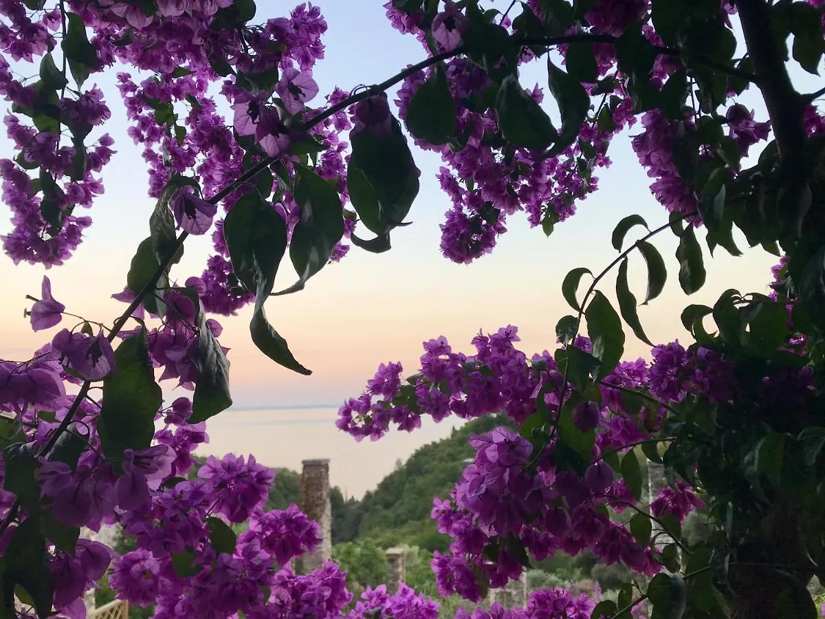 Antica Limonaia Lake View And Pool Toscolano Maderno