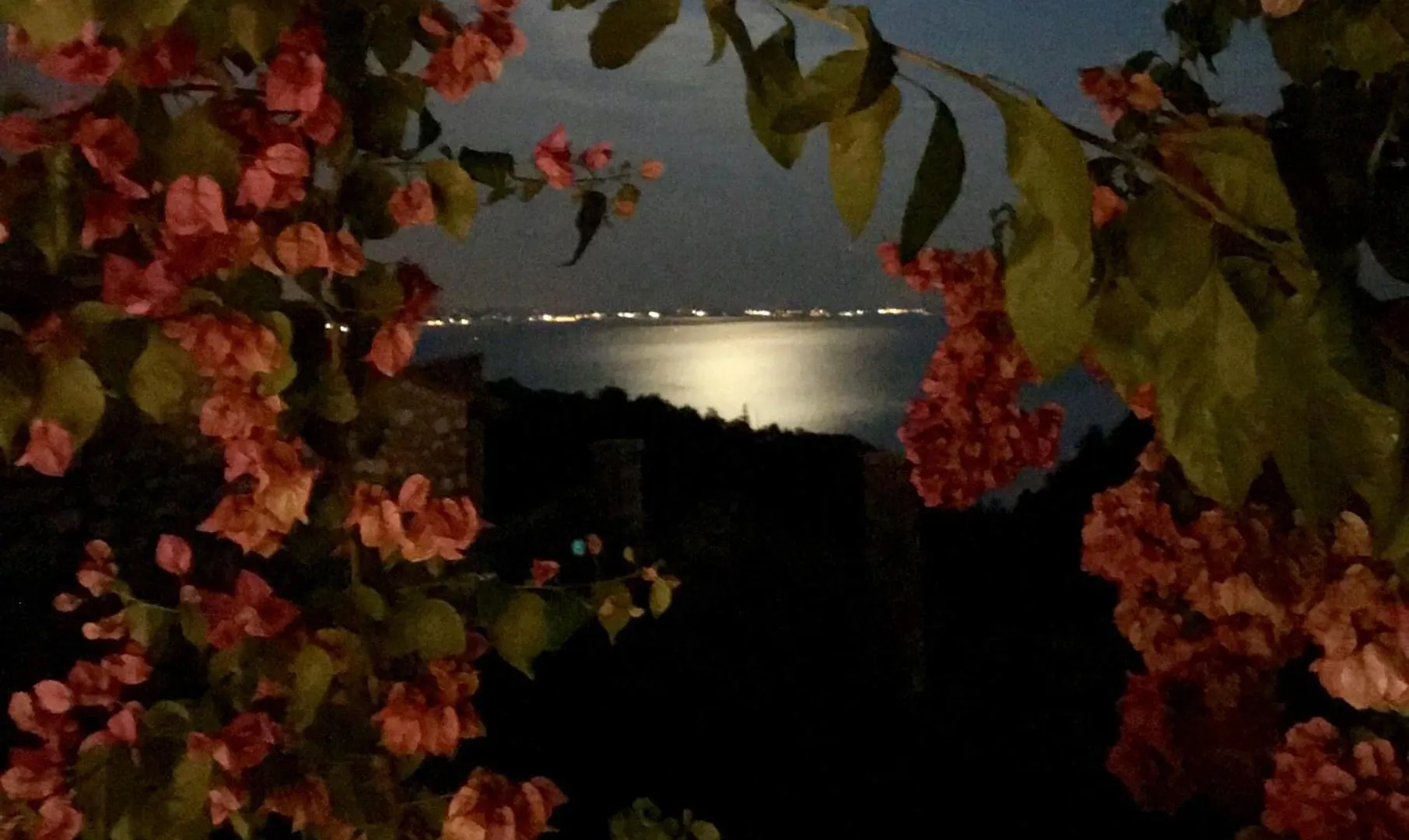 Antica Limonaia Lake View And Pool Toscolano Maderno Apartment
